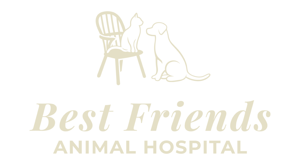 animal hospital logo