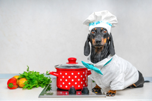 dachshund-dressed-as-a-chef-standing-next-to-red-pot-on-stove